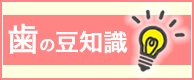 歯の豆知識